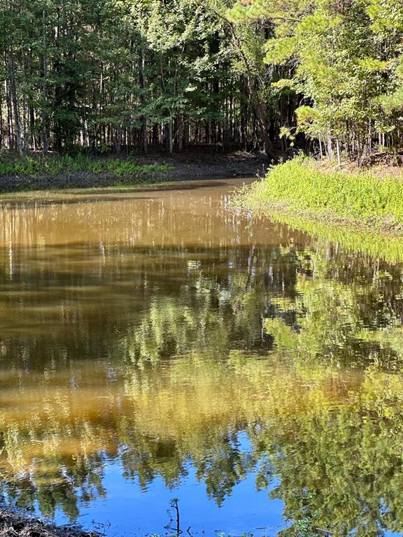 a view of water pond with yard