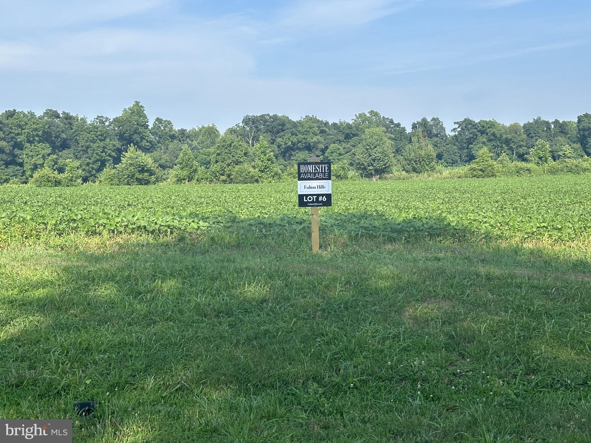 a green field with lots of bushes