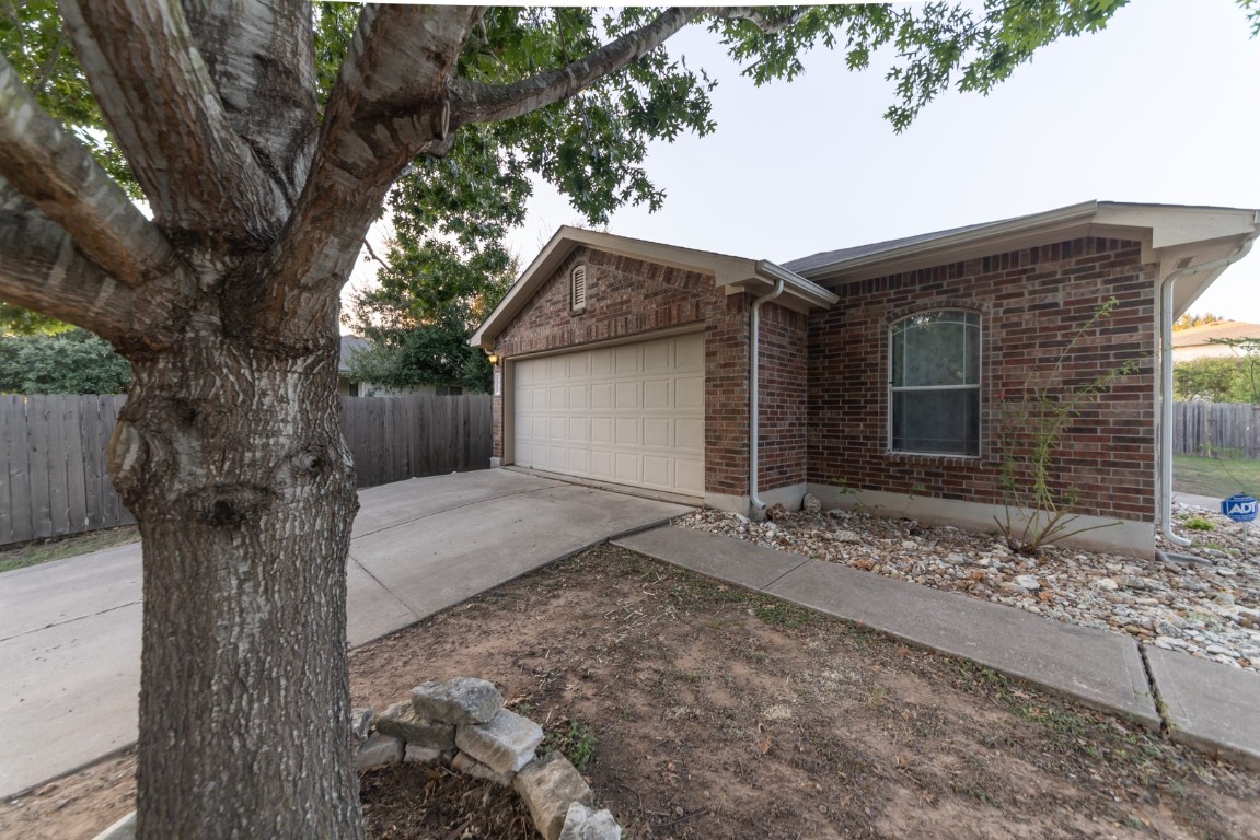 a house with a tree in front of it