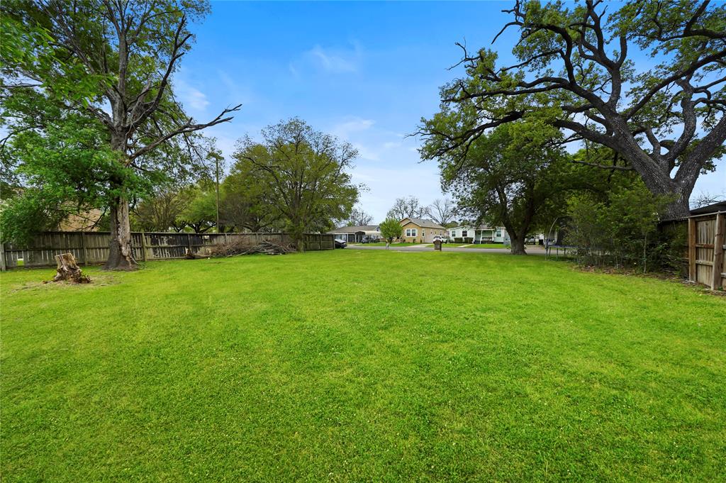 a view of a park with large trees