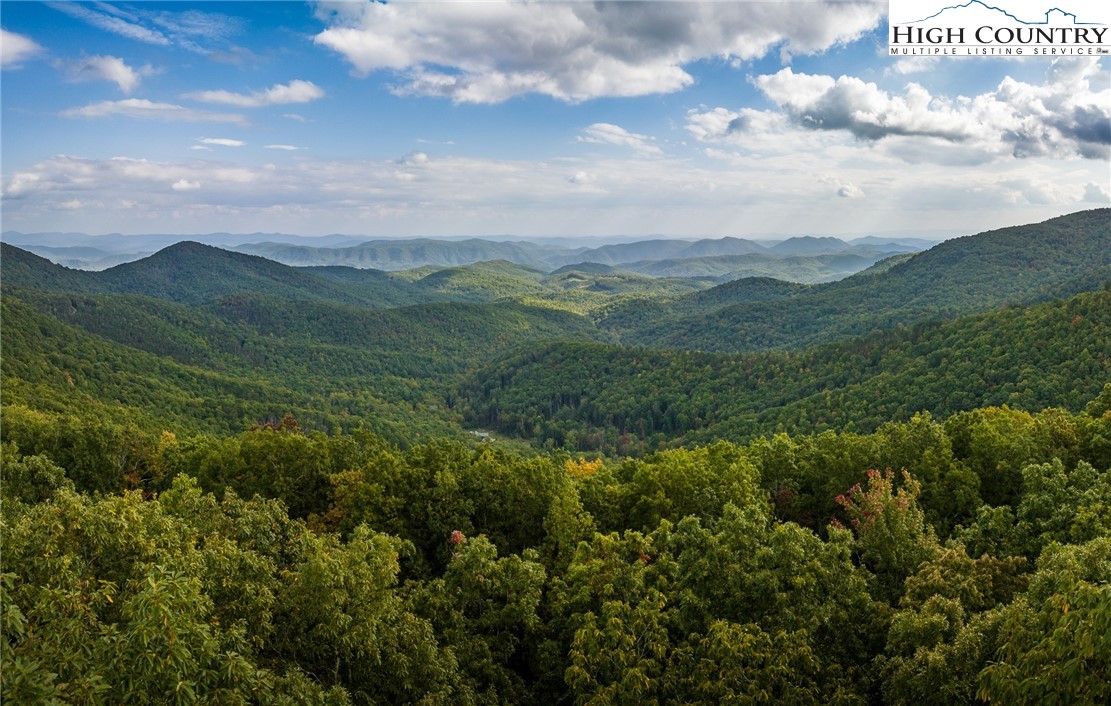 a view of a lush green forest with mountains and valleys