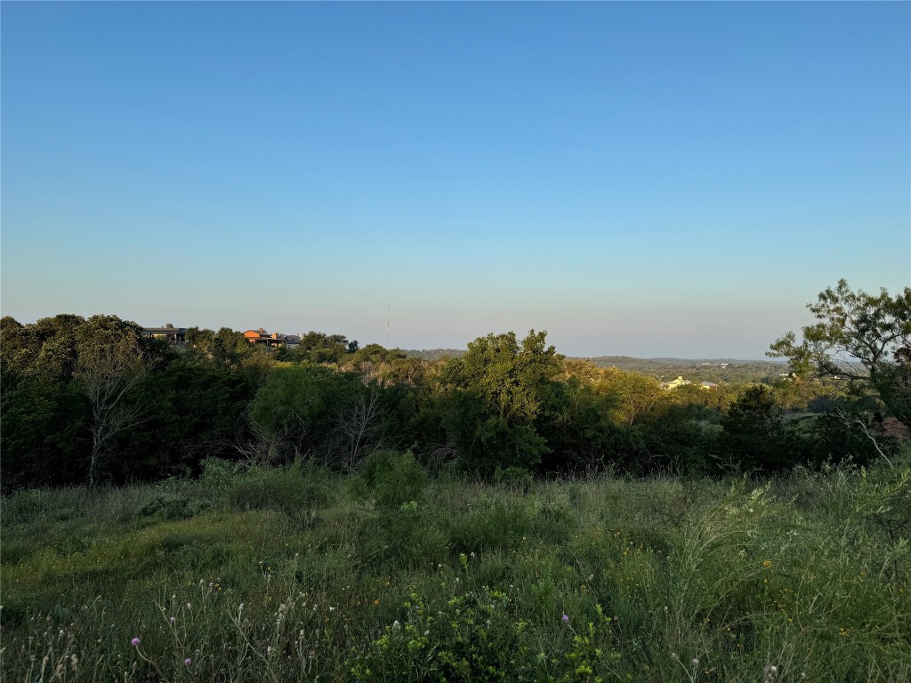 a view of a lush green field