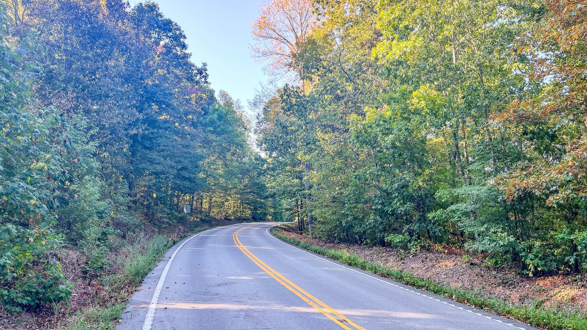 a view of a road with a trees