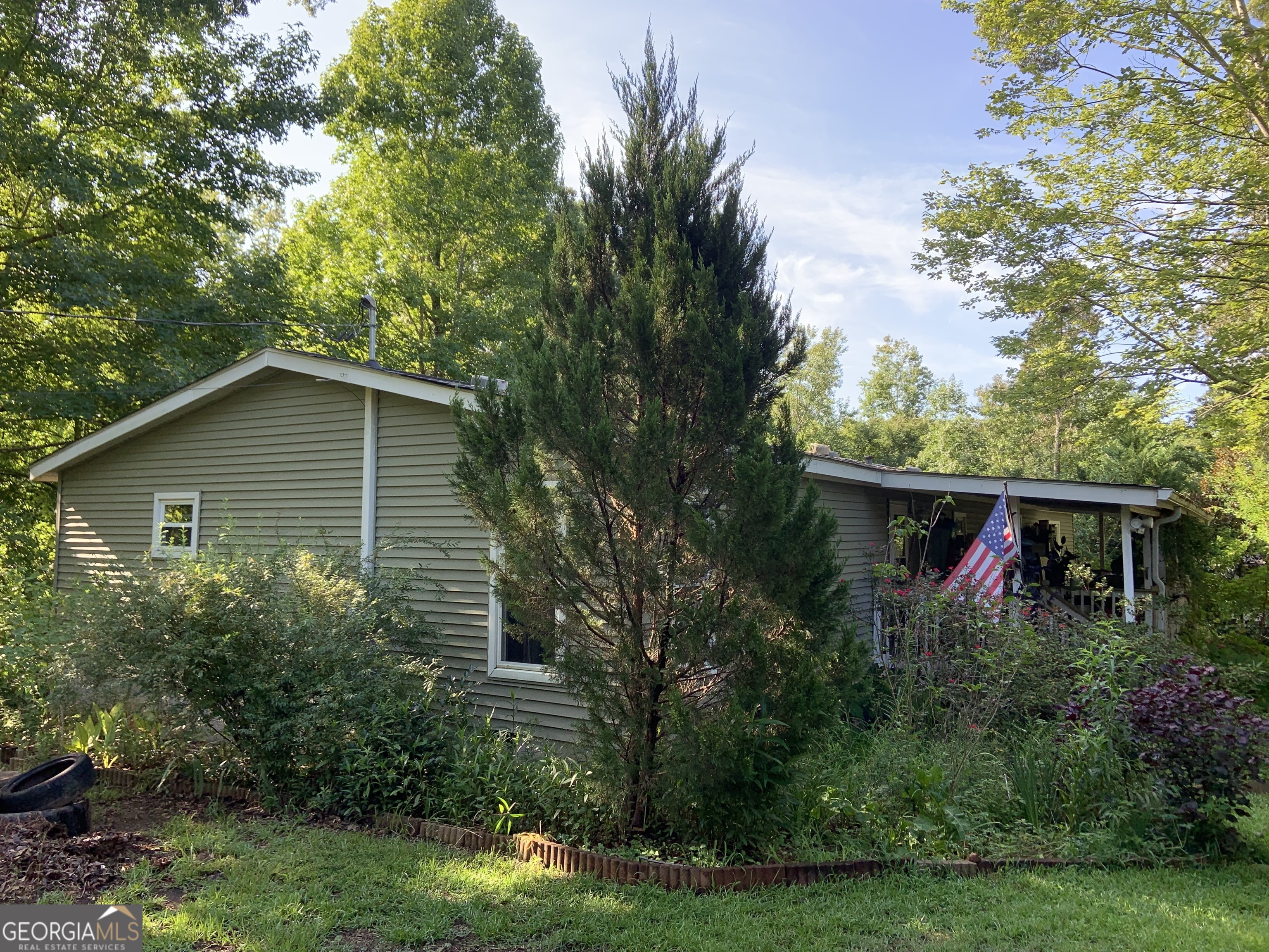 a backyard of a house with plants and large trees