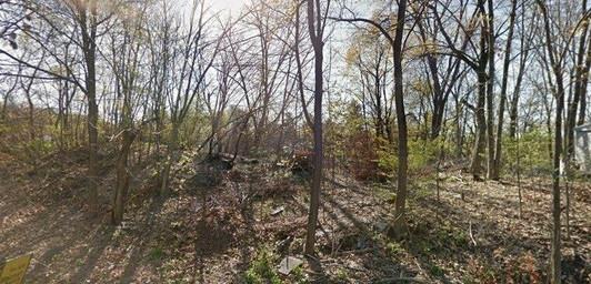 a view of a forest with trees in front of it