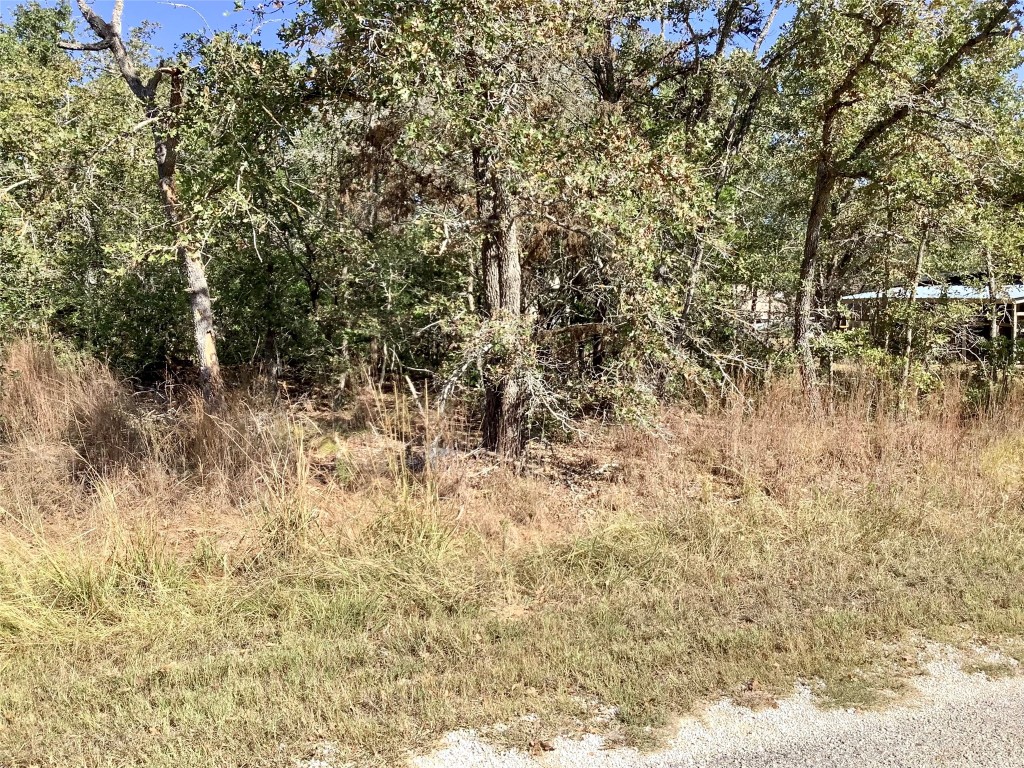 a view of a yard with trees