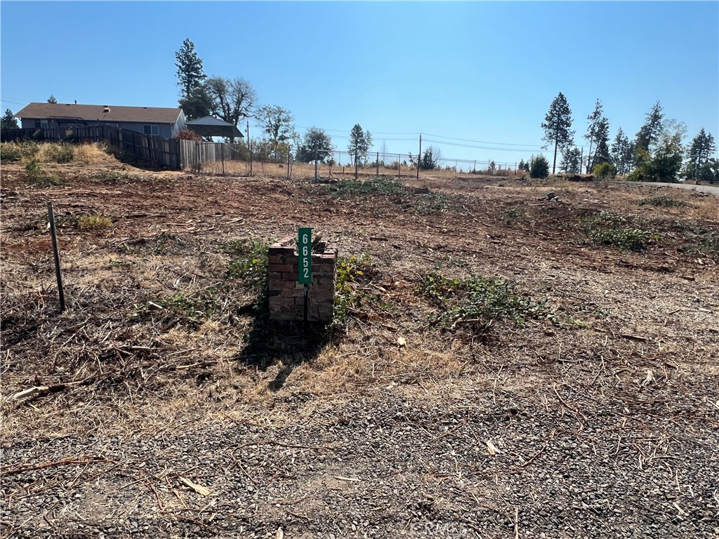 a view of a dry yard with trees