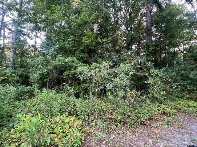 $6,000 | Tbd Willowood Trail