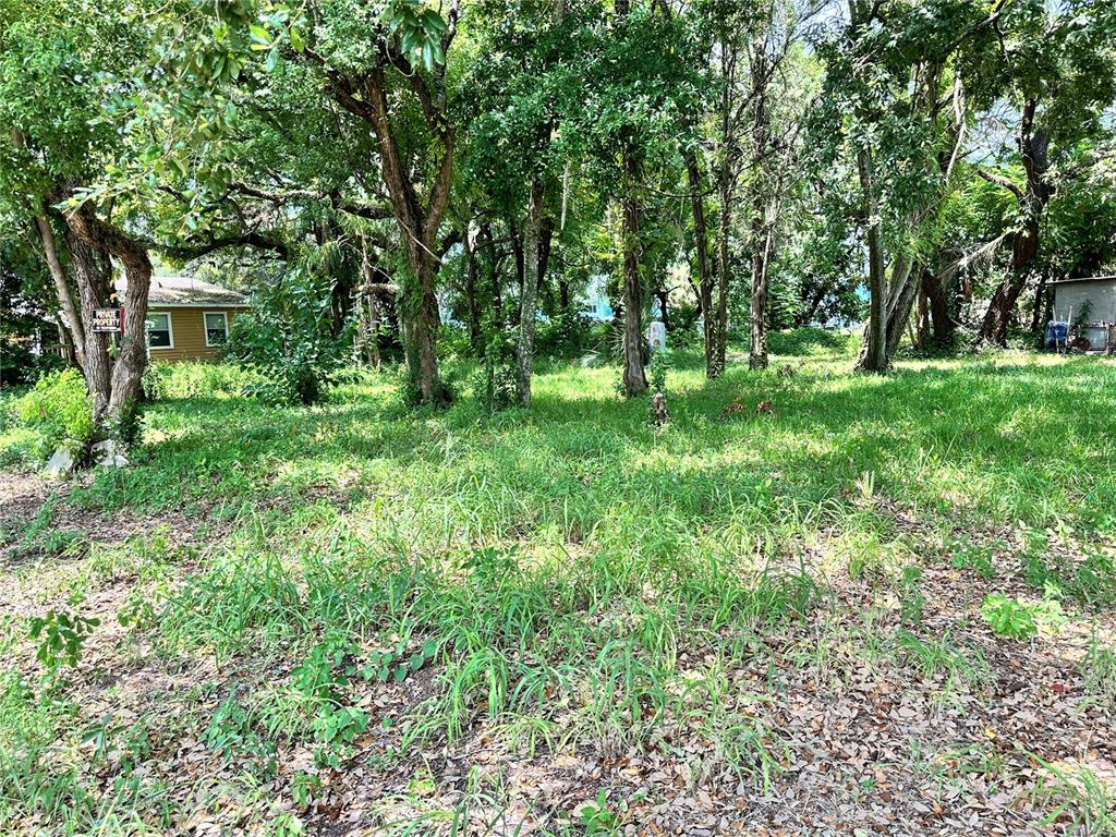 a view of outdoor space with trees all around