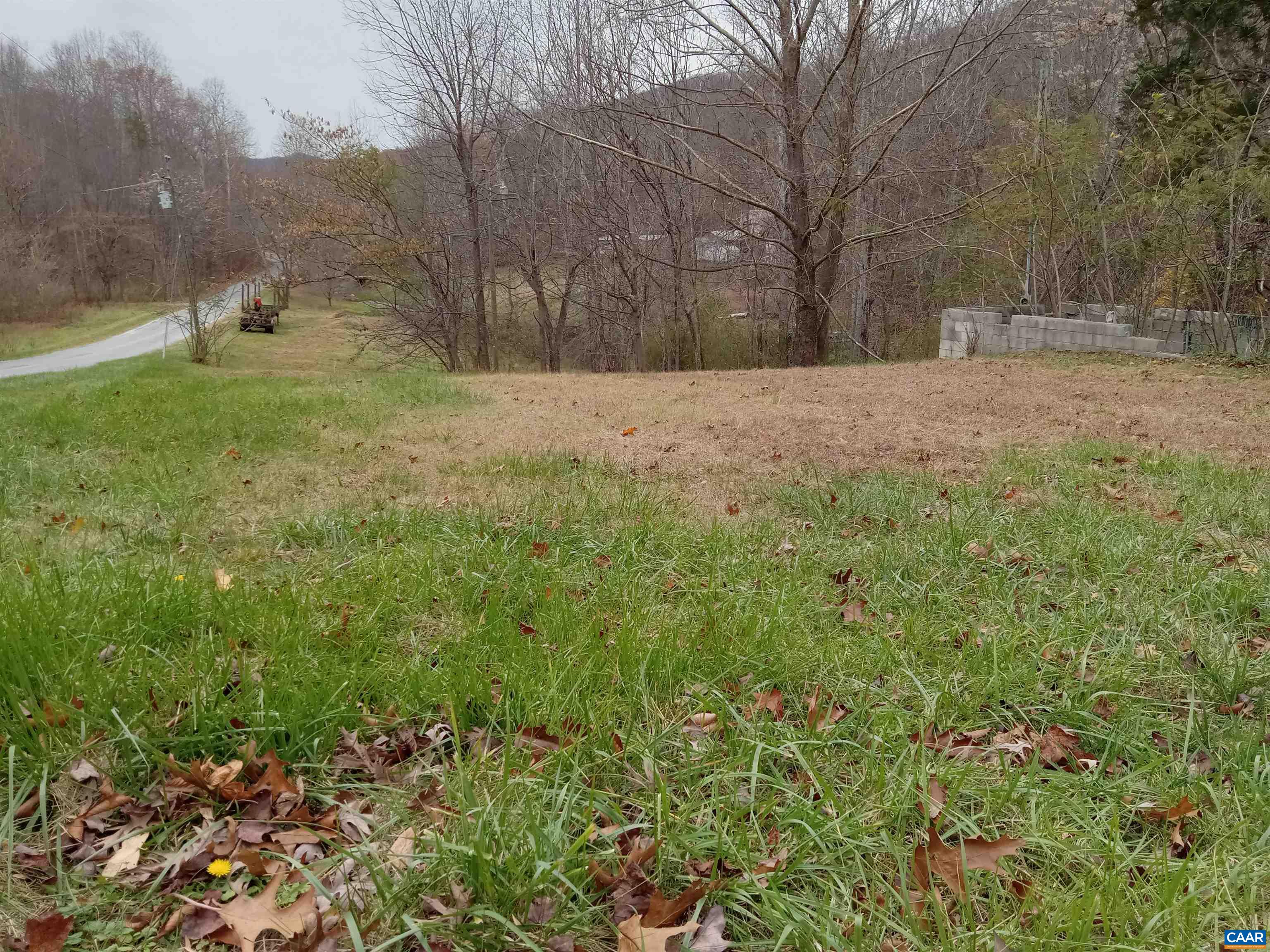 a view of backyard of house