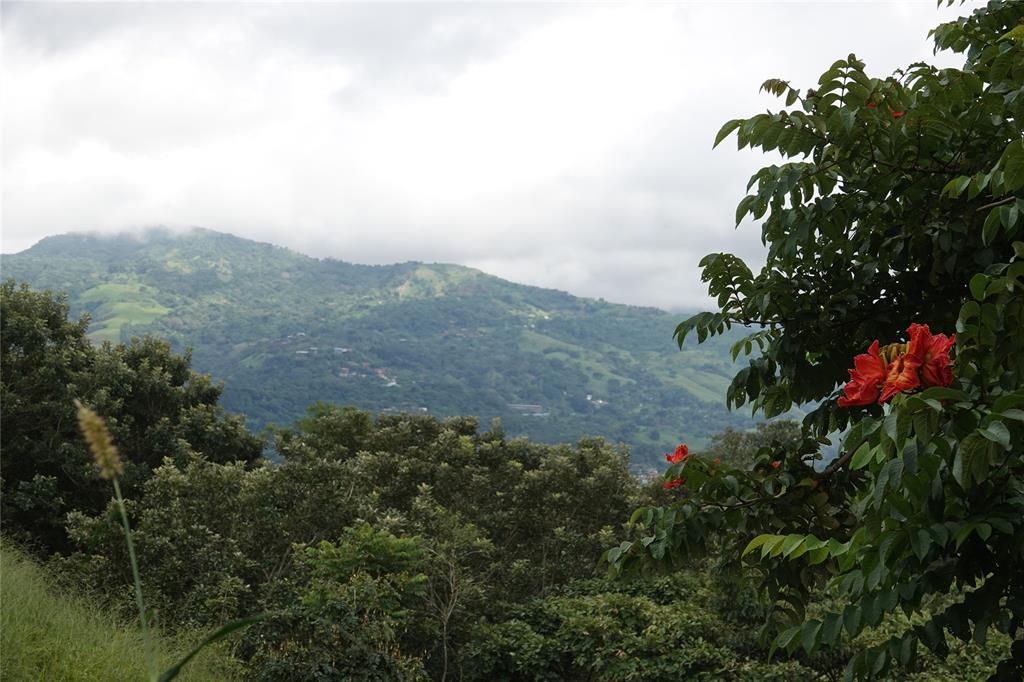 These breathtaking views are part of your everyday life here at The Bosques Del Cafe—imagine waking up to this beauty daily!