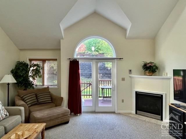 a living room with furniture a fireplace and a large window