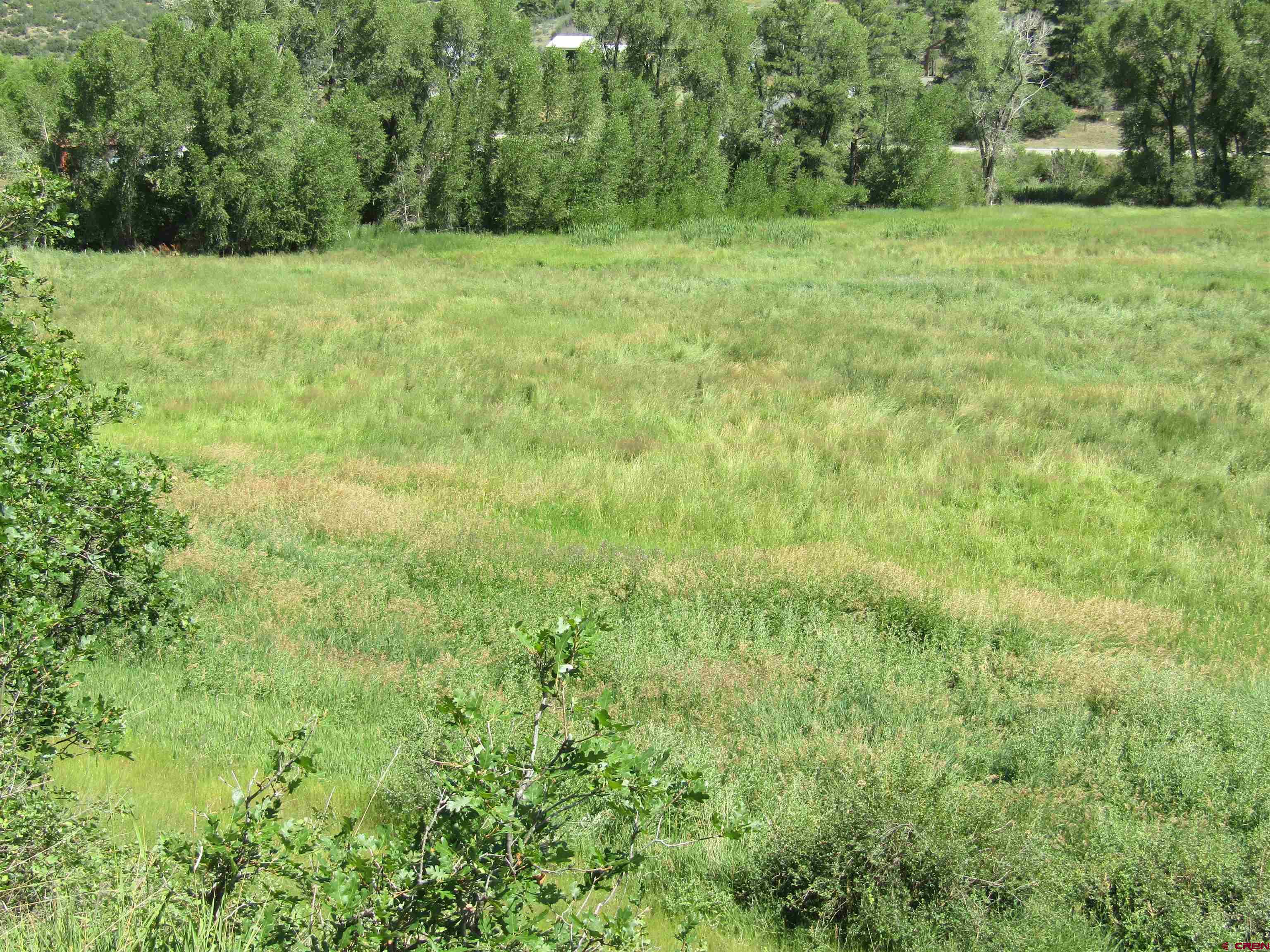 a view of a field with trees in the background