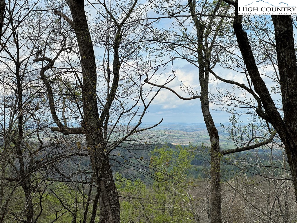 a backyard of a house with lots of trees