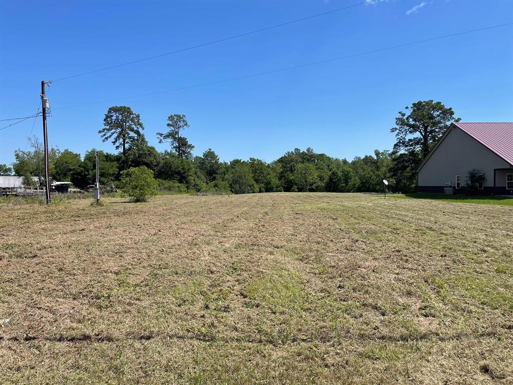 a view of a field with a view of tall trees