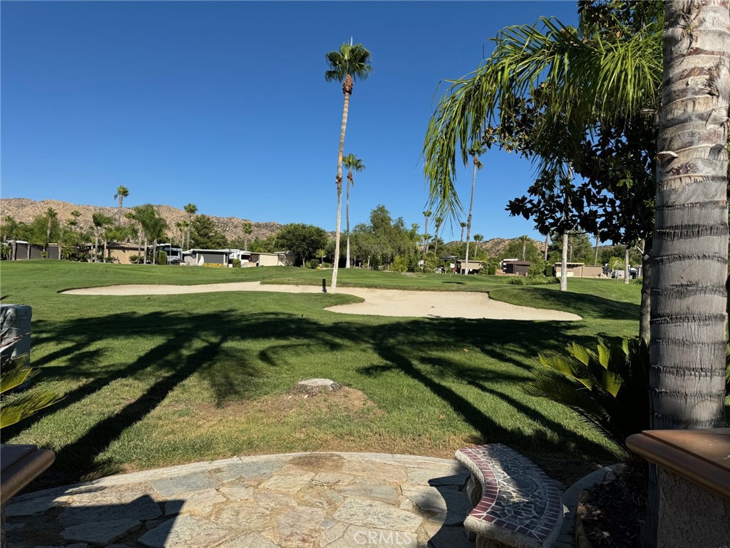 a view of a park with large trees