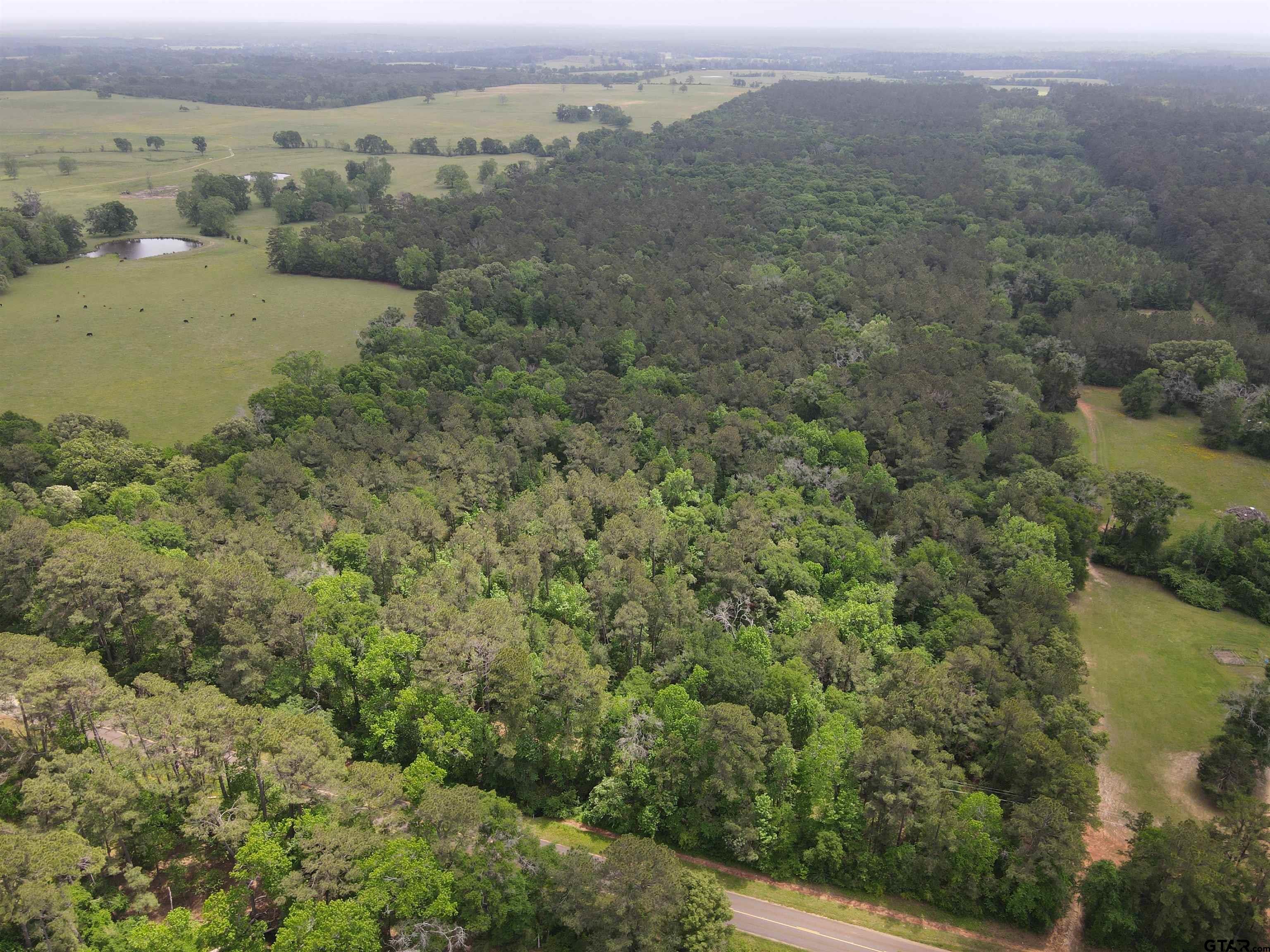 an aerial view of mountain with trees