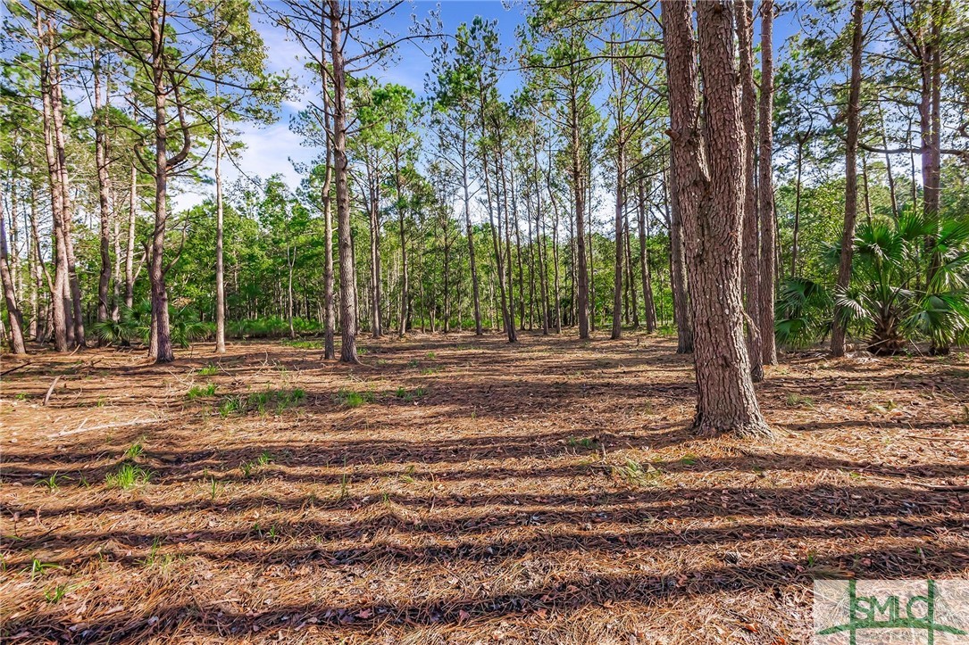 Lot 66 Telfair Plantation