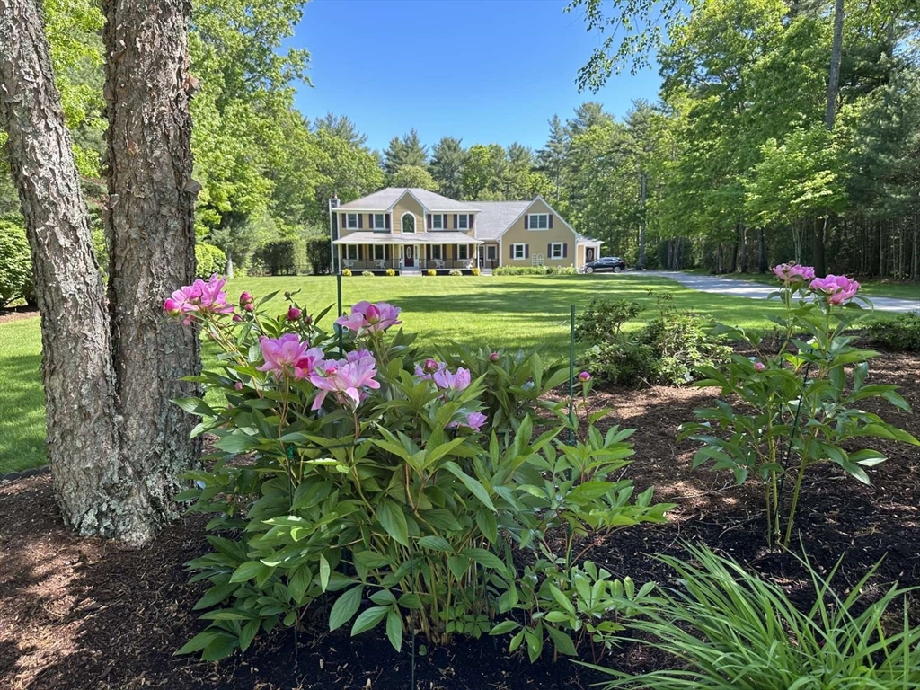 a view of yard with green space