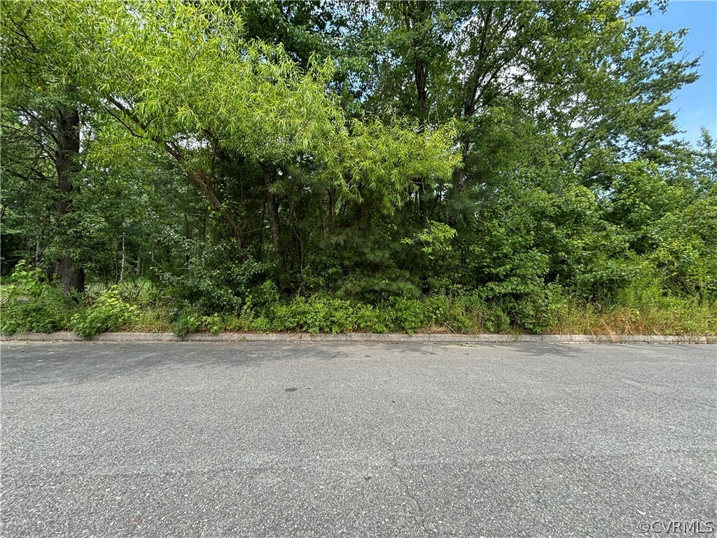 a view of a plants and trees in the background