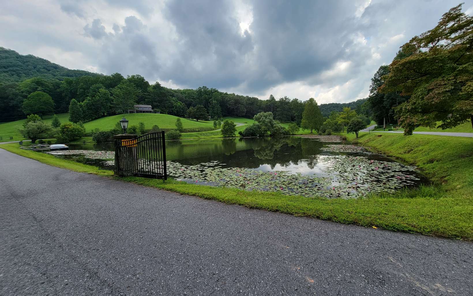 a view of a lake with a big yard and potted plants