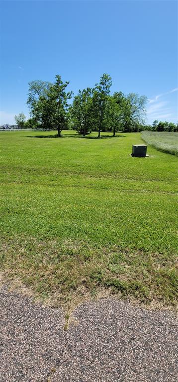 a view of a field with an ocean