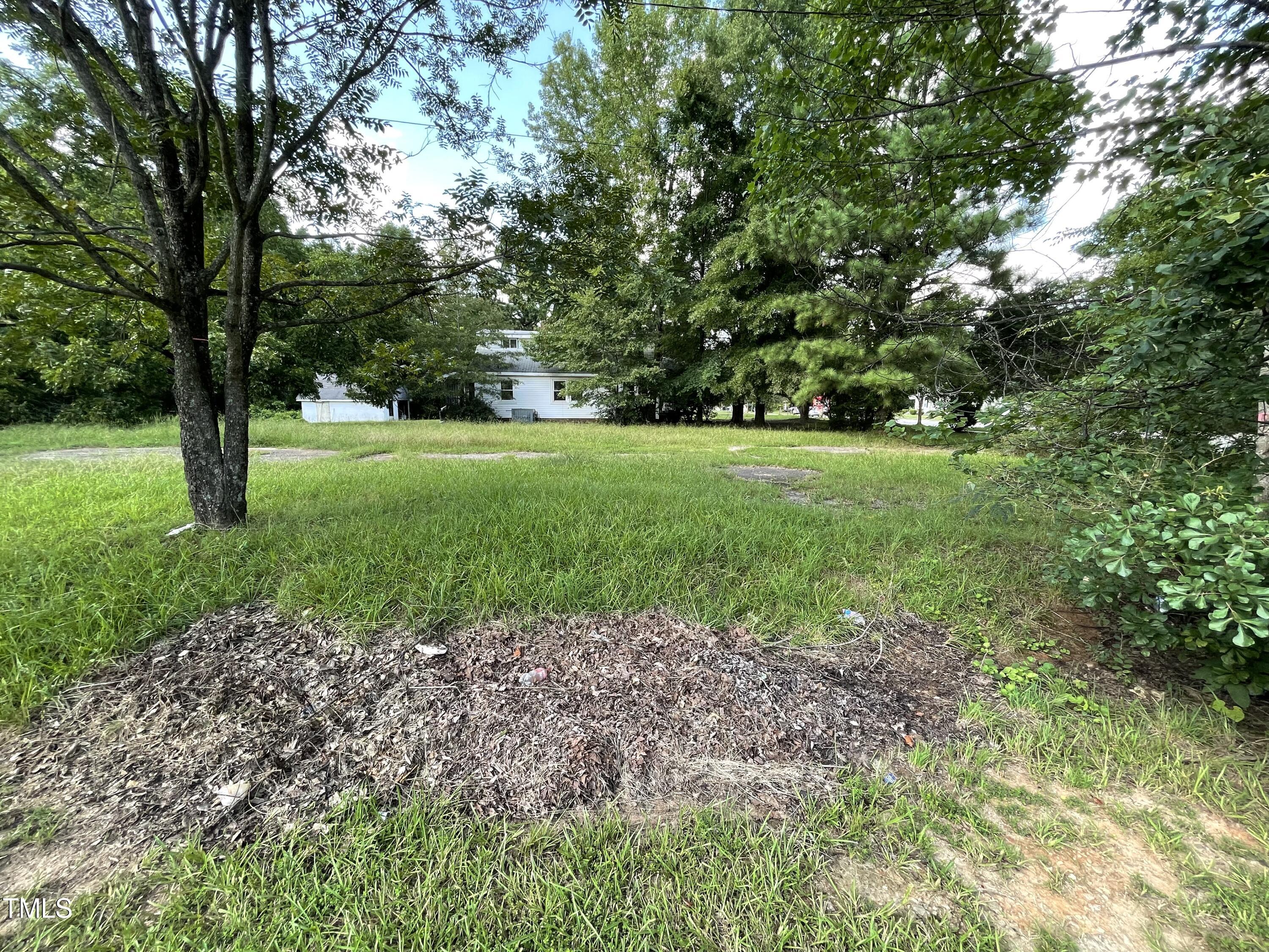 a view of backyard with green space