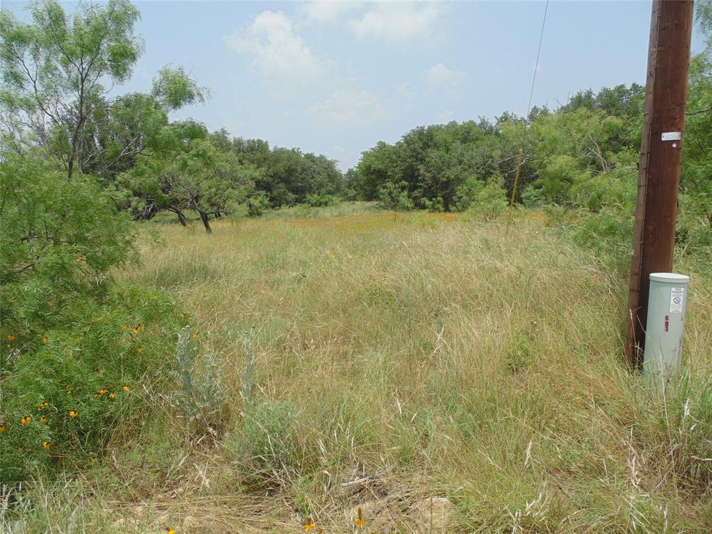 a view of a lake from a yard