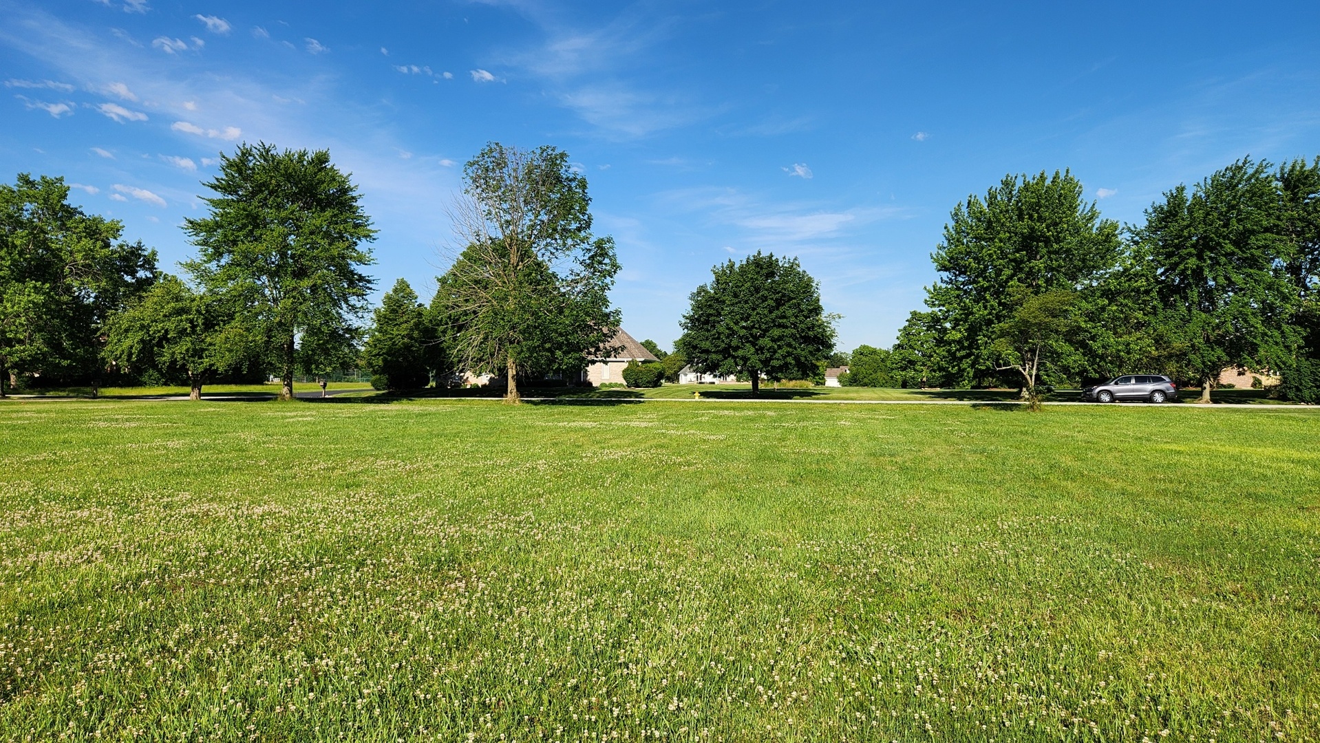 a view of green field with trees in the background