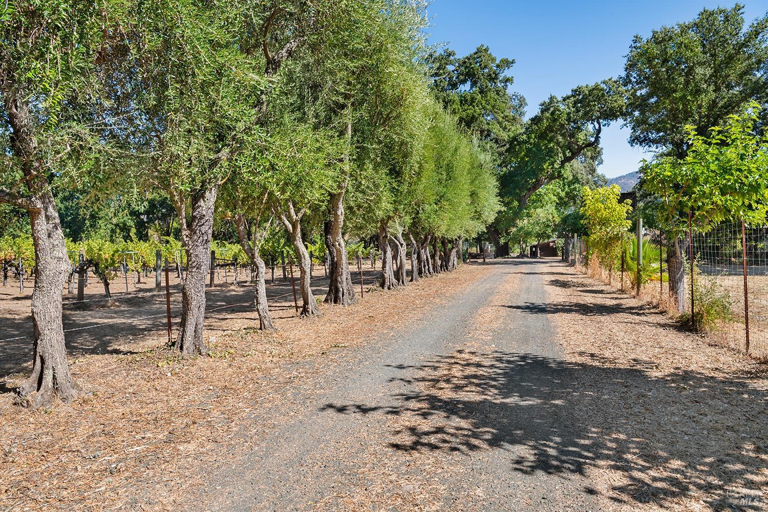 a view of road with trees