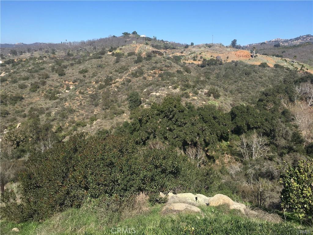 a view of a mountain in the distance