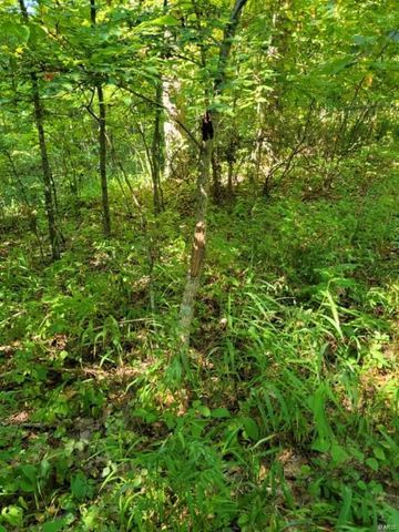 $24,900 | 0 County Highway | Webb Township - Reynolds County