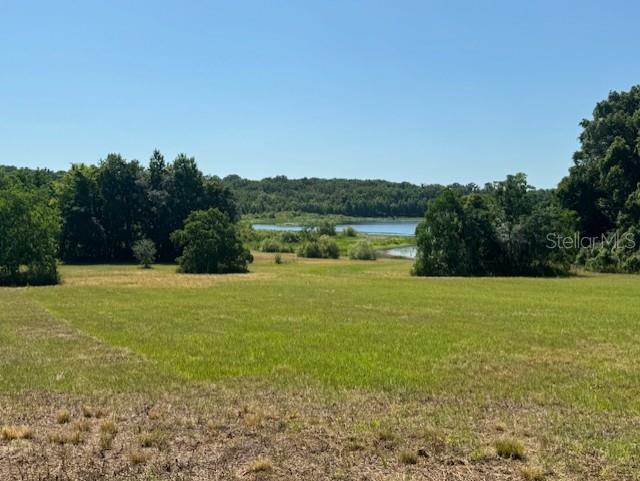 a view of a field with an ocean