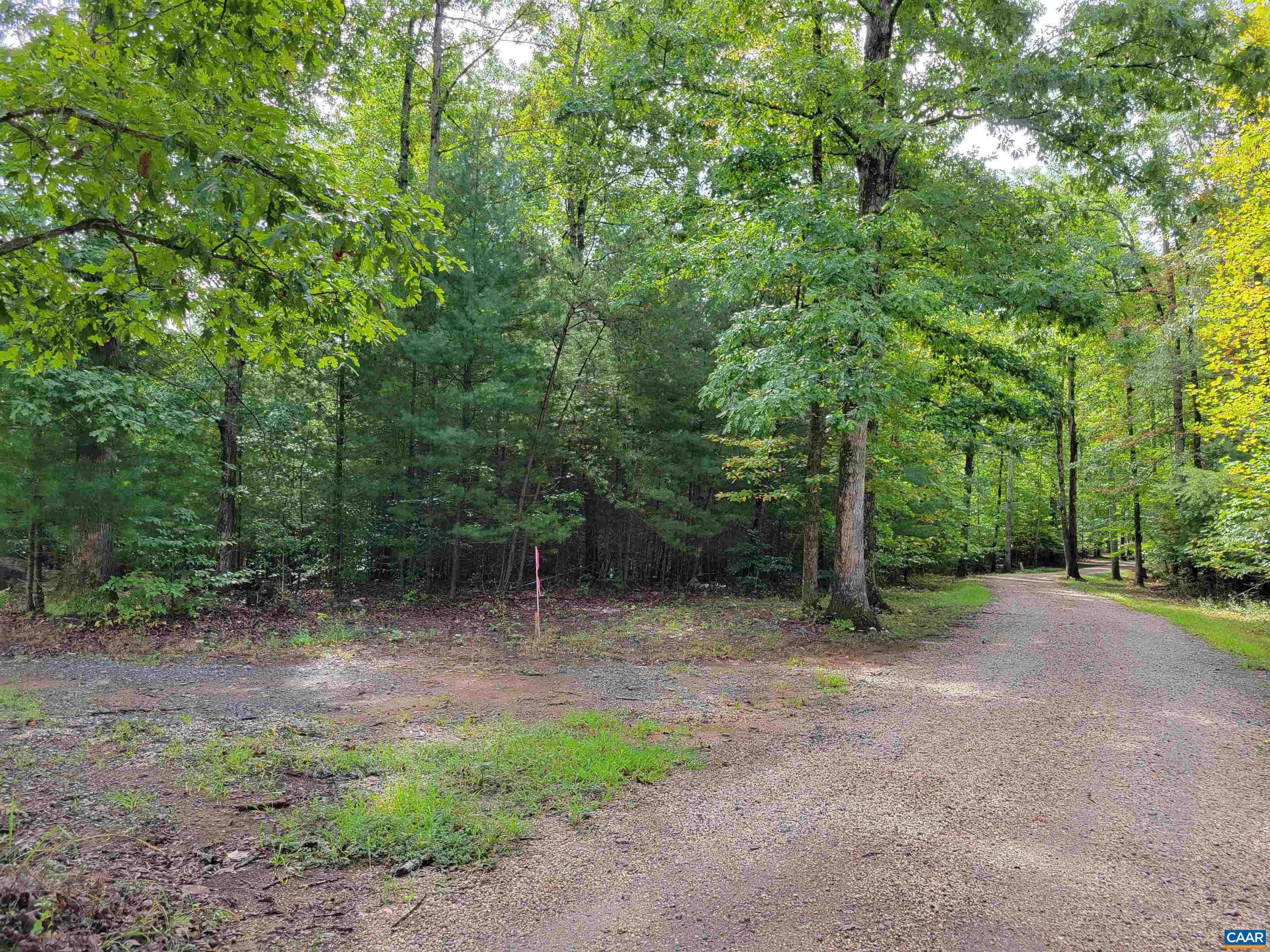 a view of a field with trees in the background