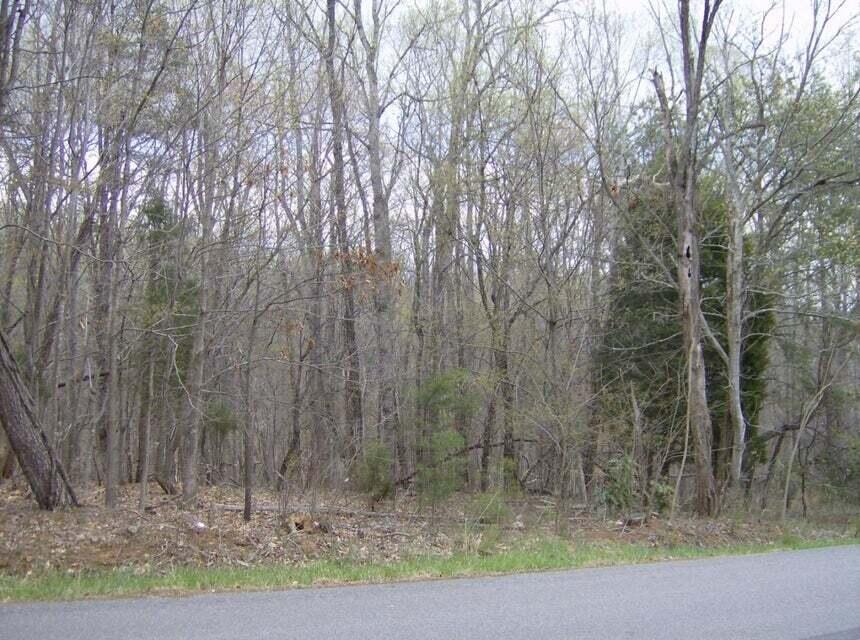 a view of a yard with large trees