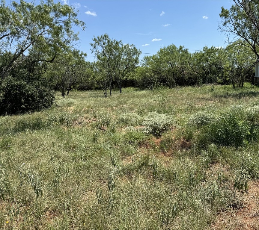 a view of a green field with lots of bushes