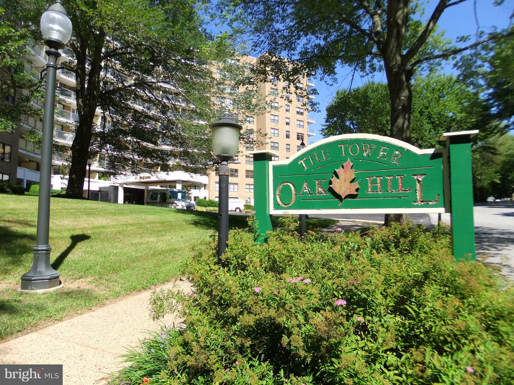 a view of a park with large trees