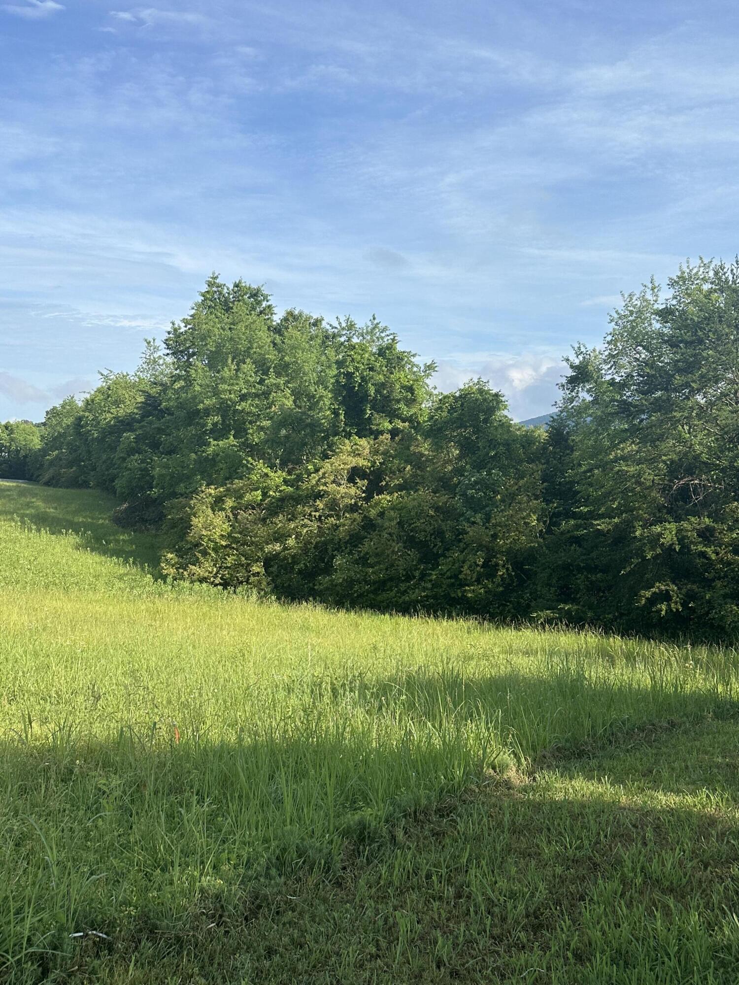 a view of a grassy area