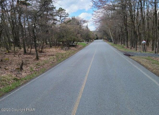 a view of a forest filled with trees