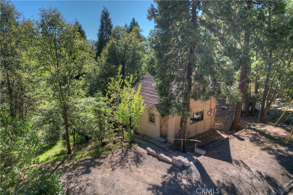 a view of a backyard with tree