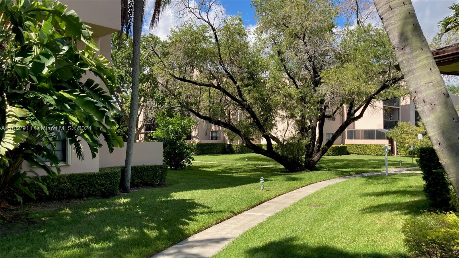 a view of a backyard with large trees