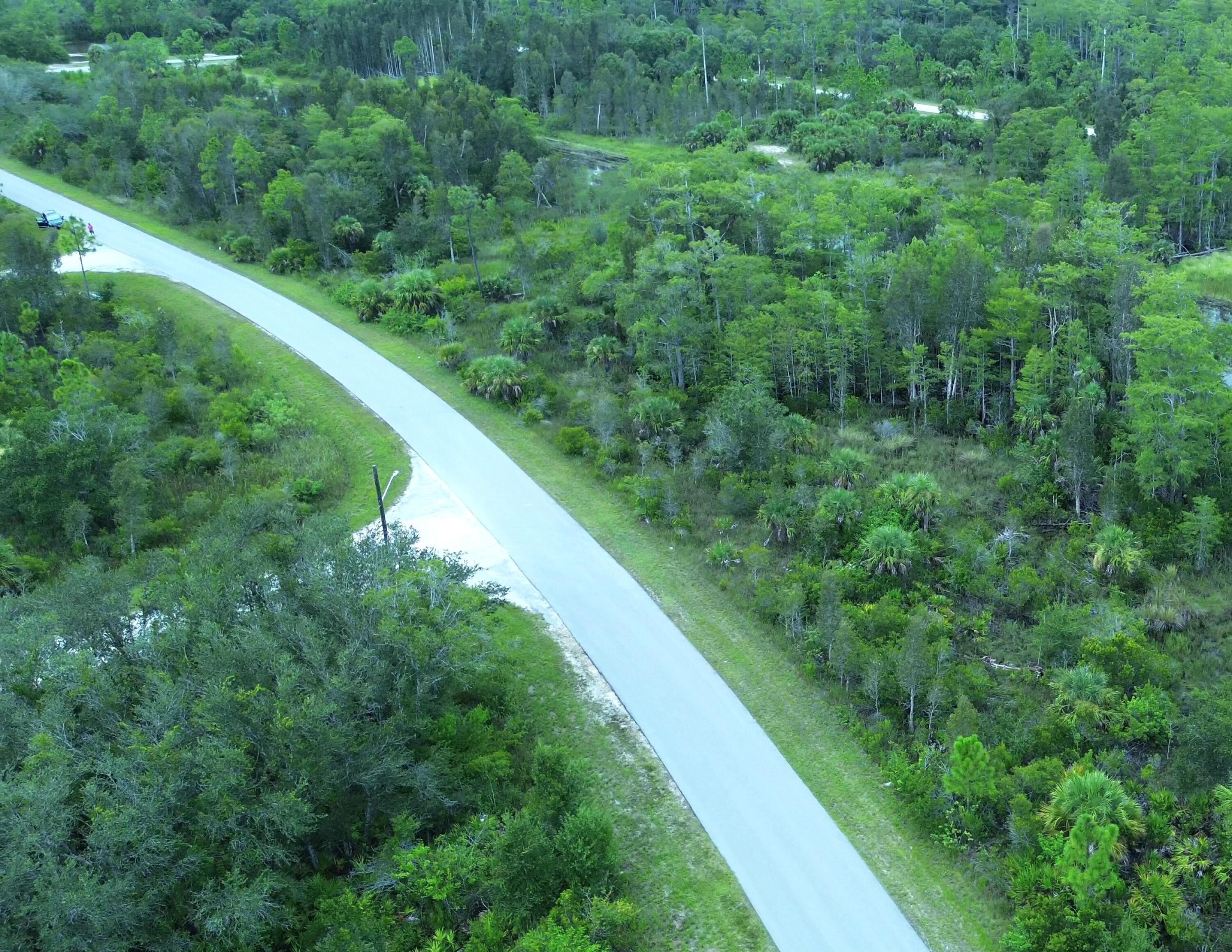 a view of a lush green forest with lots of trees