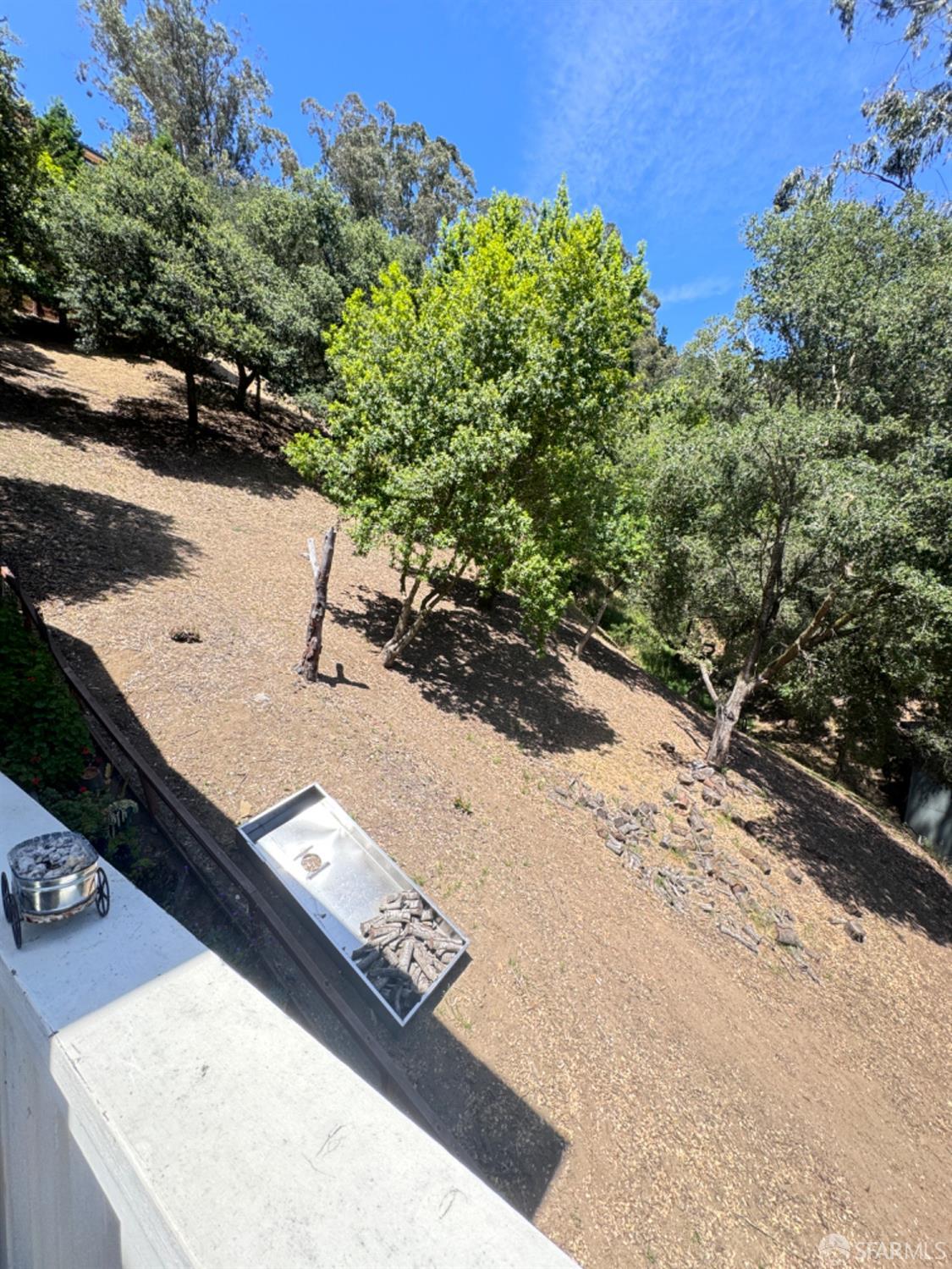 a view of a yard with plants