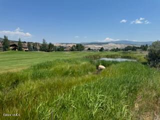 a view of a green field with lots of bushes