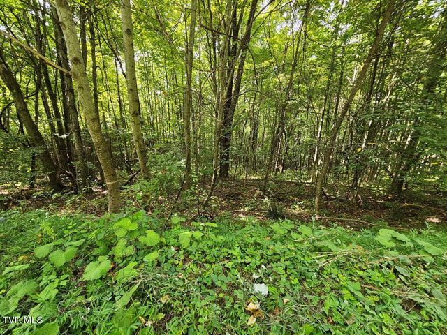 $28,900 | 13.51-acre Cartwright Road