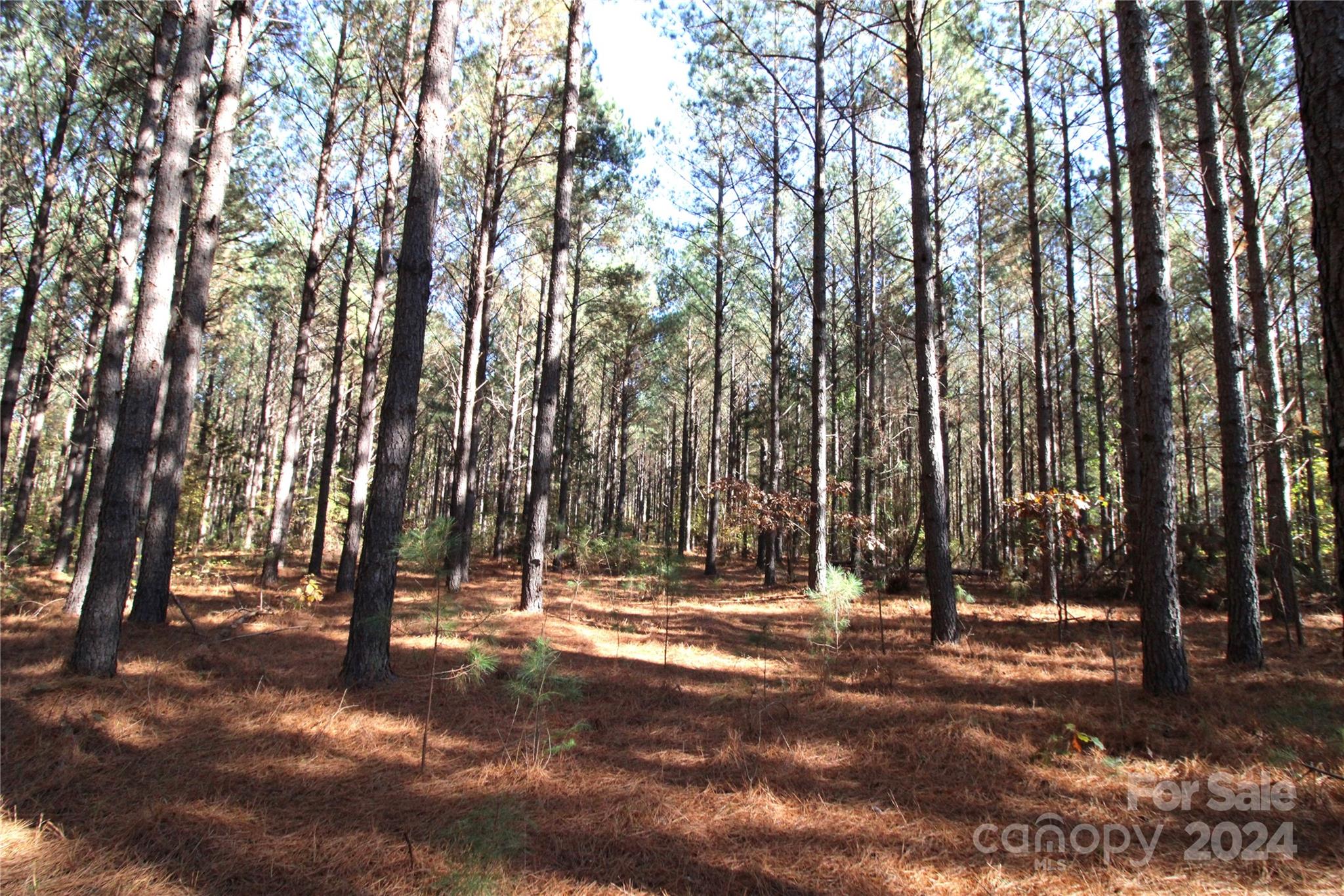 a view of outdoor space with lots of trees