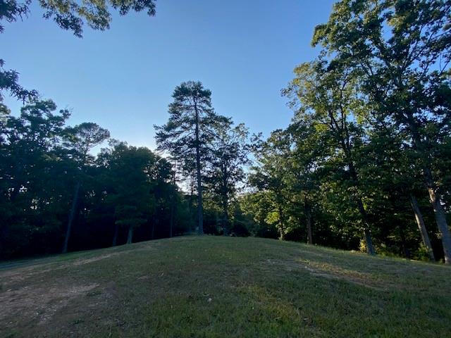 a view of a park with trees in the background