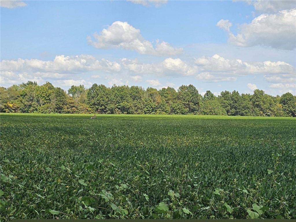 a view of a green field with wooden fence