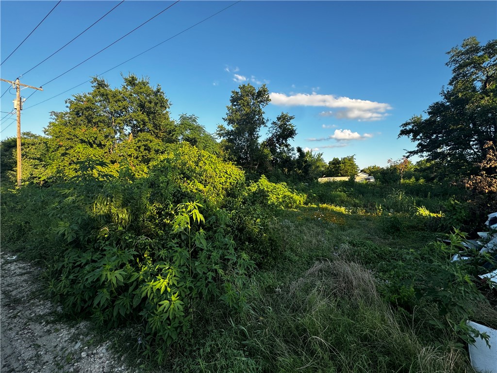 a view of a garden