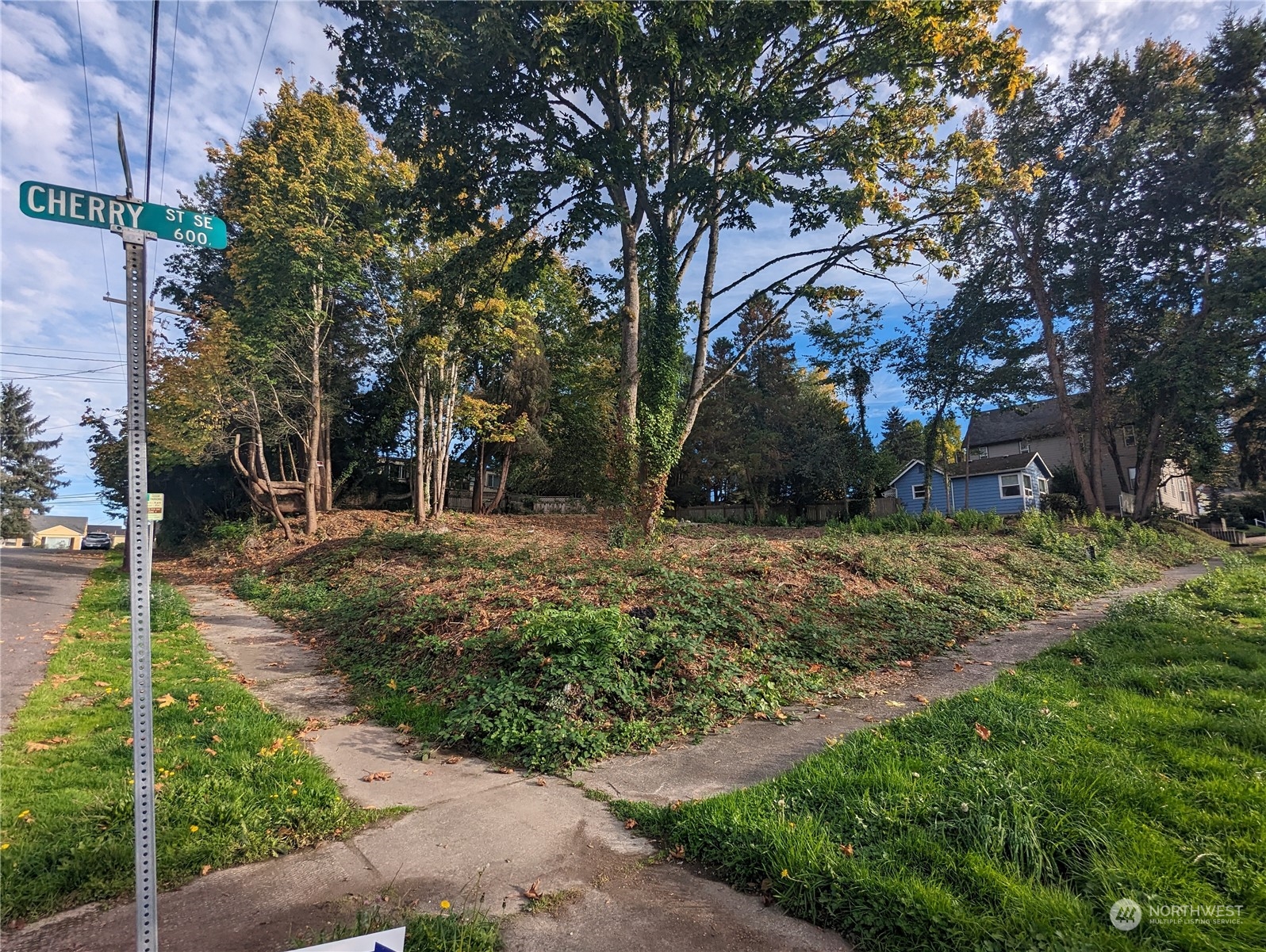 a view of backyard with green space